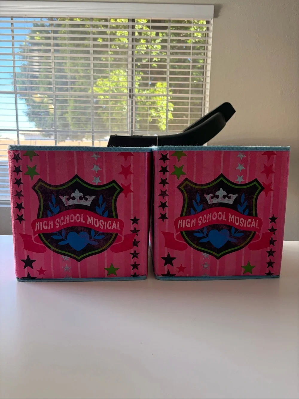 Disney High School Musical Pink Fabric Drawer Cube Storage Bins Set of 2